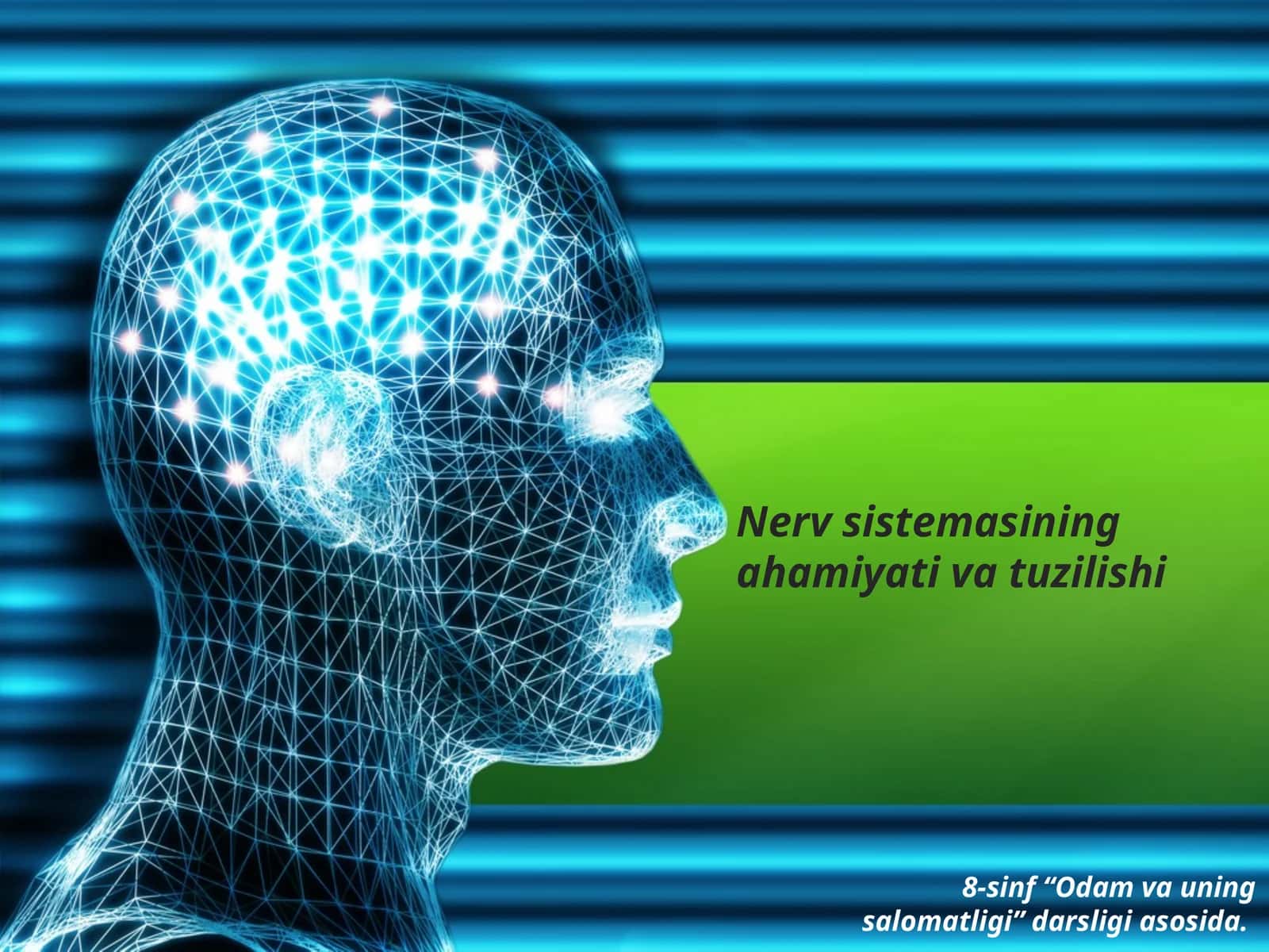 Nerv sistemasining ahamiyati va tuzilishi 1