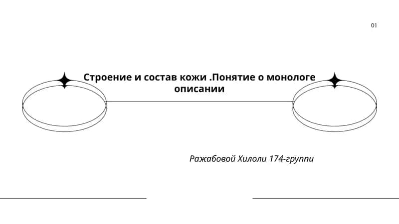 Строение и состав кожи 1