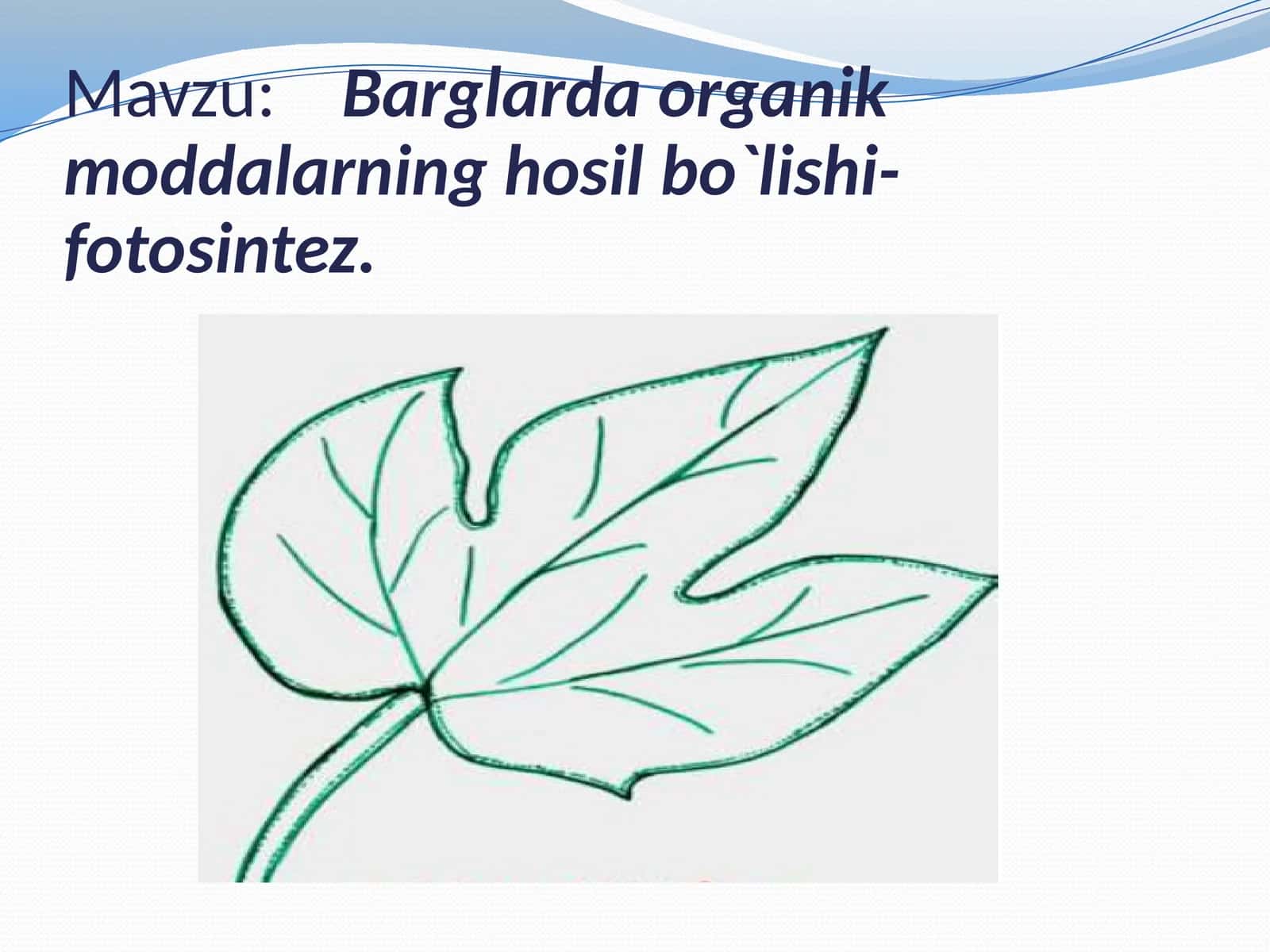 Barglarda organik moddalarning hosil bo`lishi-fotosintez 1