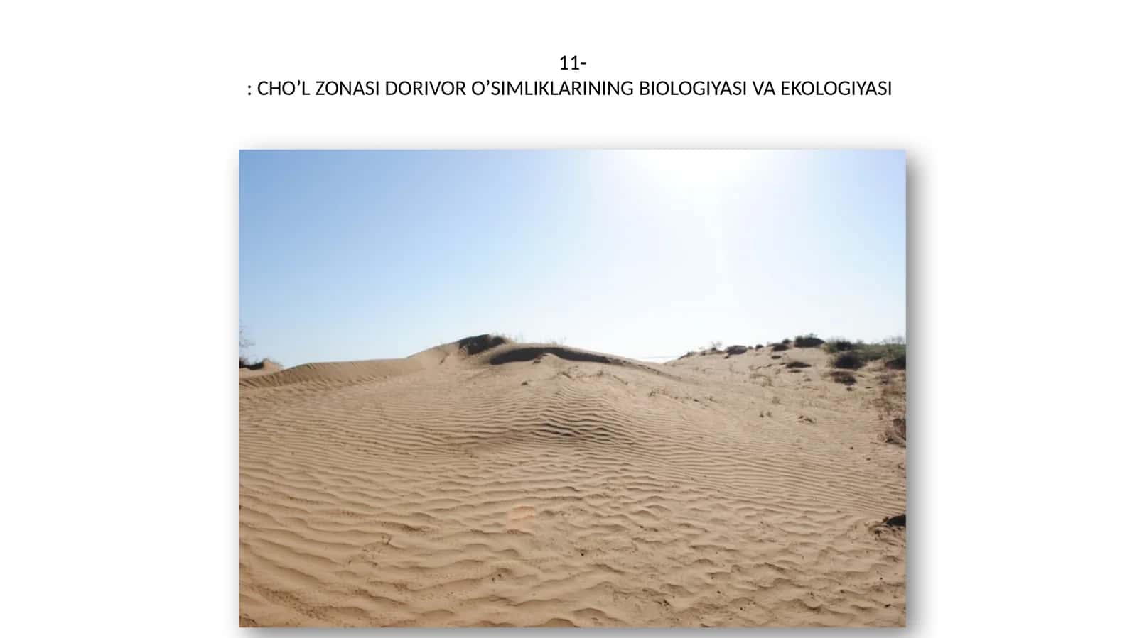 CHO’L ZONASI DORIVOR O’SIMLIKLARINING BIOLOGIYASI VA EKOLOGIYASI 1