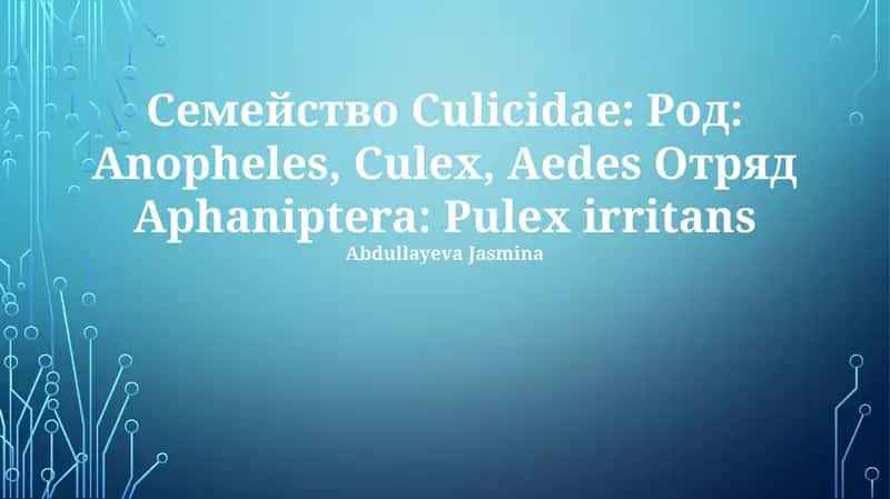Биологические особенности родов Anopheles, Culex и Aedes 1