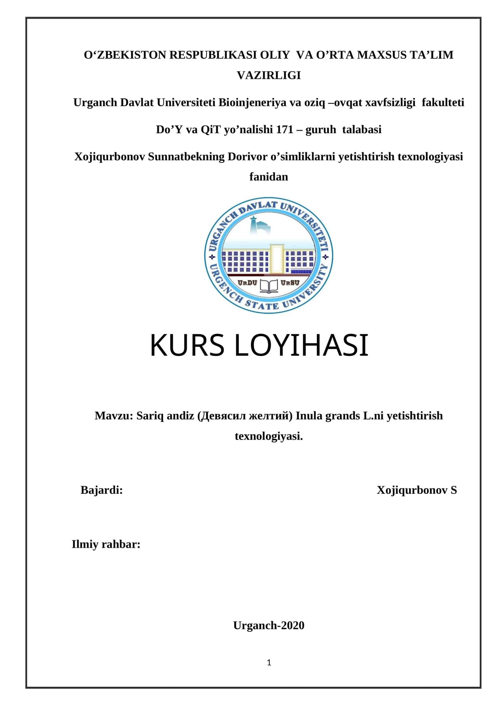 Sariq andiz (Девясил желтий) Inula grands L.ni yetishtirish texnologiyasi 1