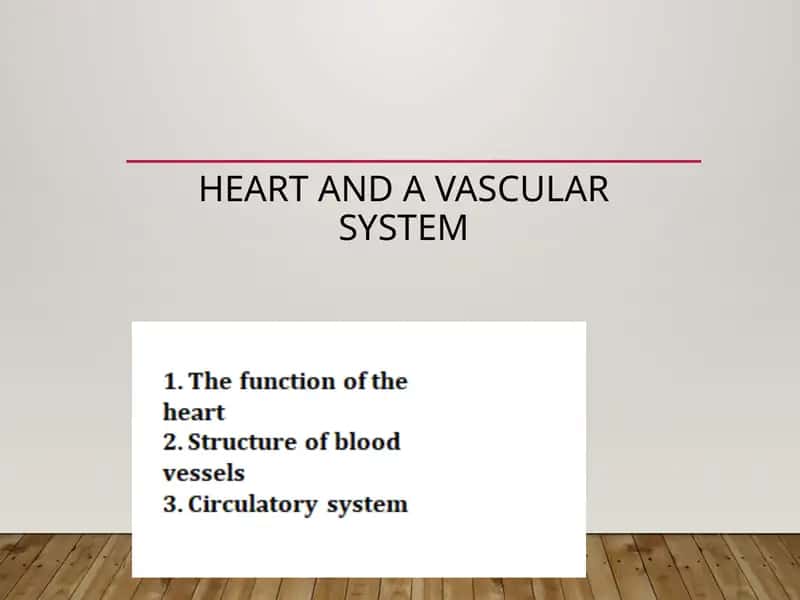 Heart and a vascular system 1