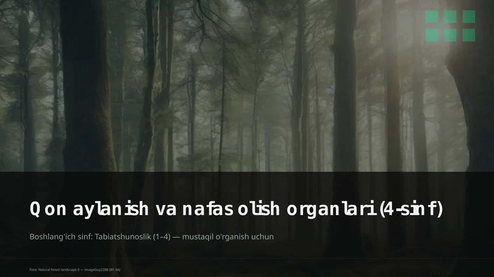 Qon aylanish va nafas olish organlari (4-sinf) 1
