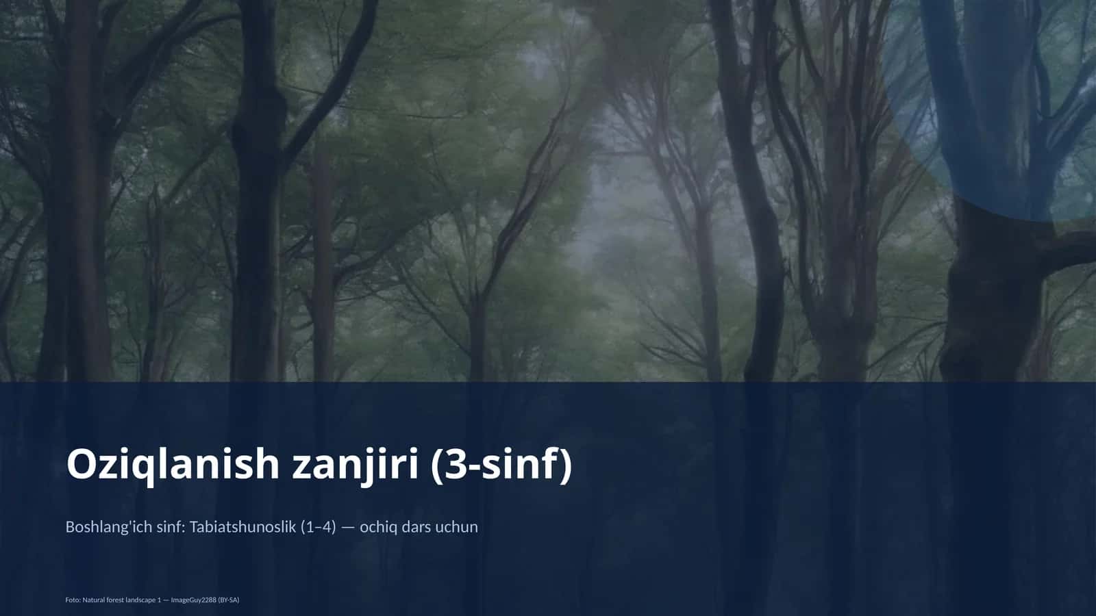 Oziqlanish zanjiri (3-sinf) 1