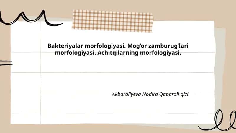 Bakteriyalar morfologiyasi. Mog’or zamburug’lari morfologiyasi. Achitqilarning morfologiyasi 1