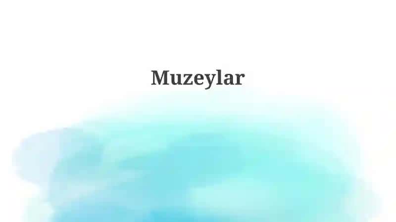 Muzeylar