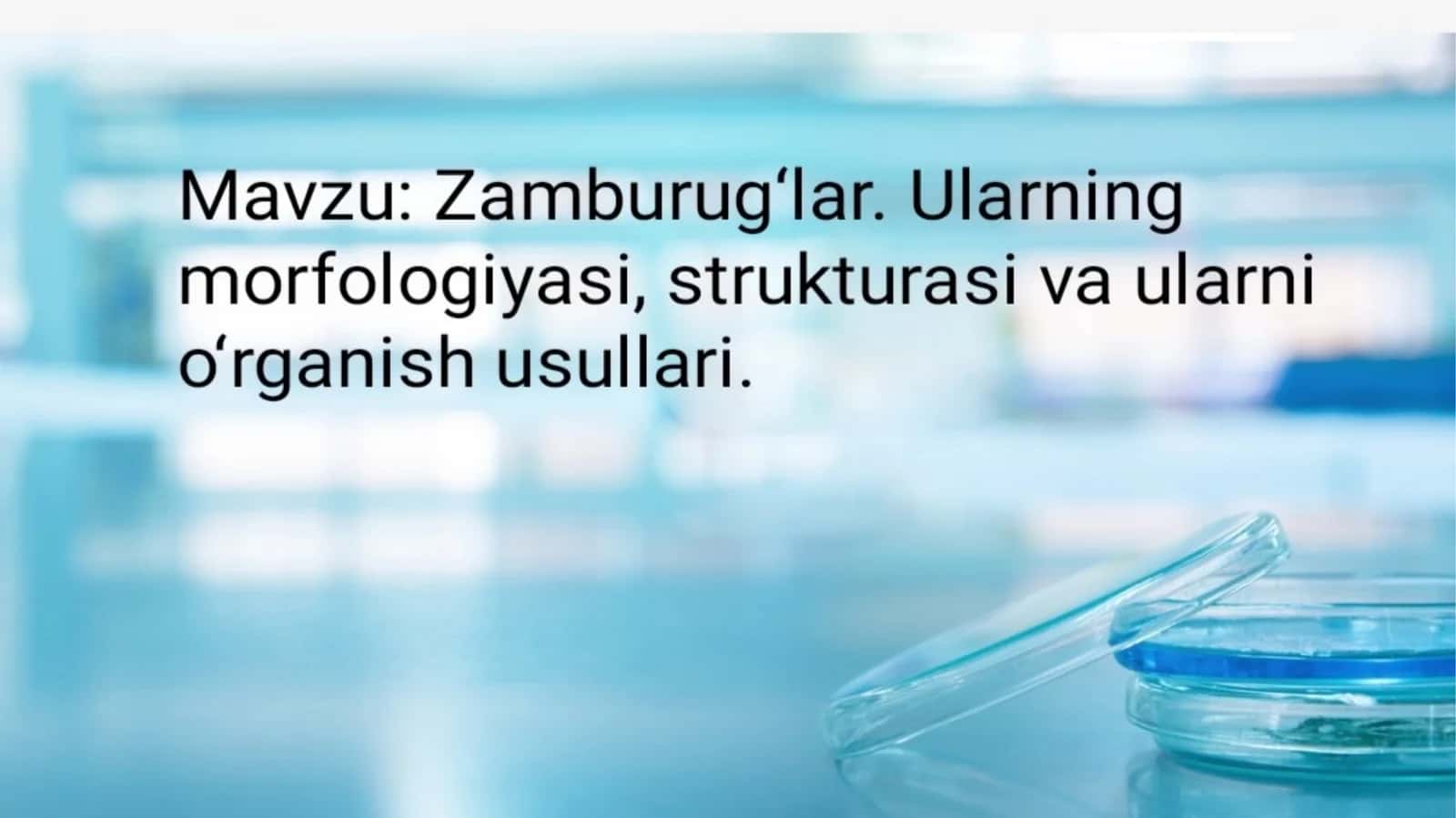 Zamburug'lar 1
