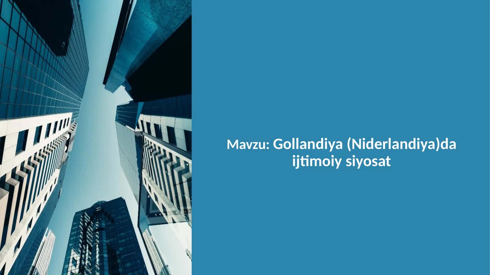 Gollandiya (Niderlandiya)da ijtimoiy siyosat 1