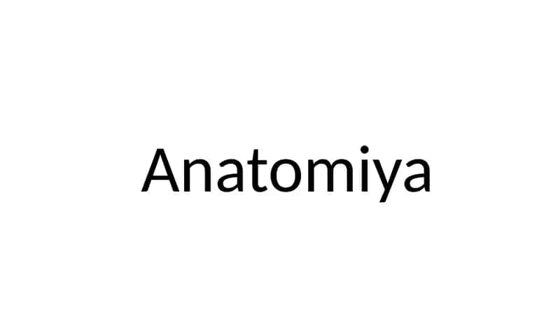 Anatomiya (BOSH SUYAGI) 1