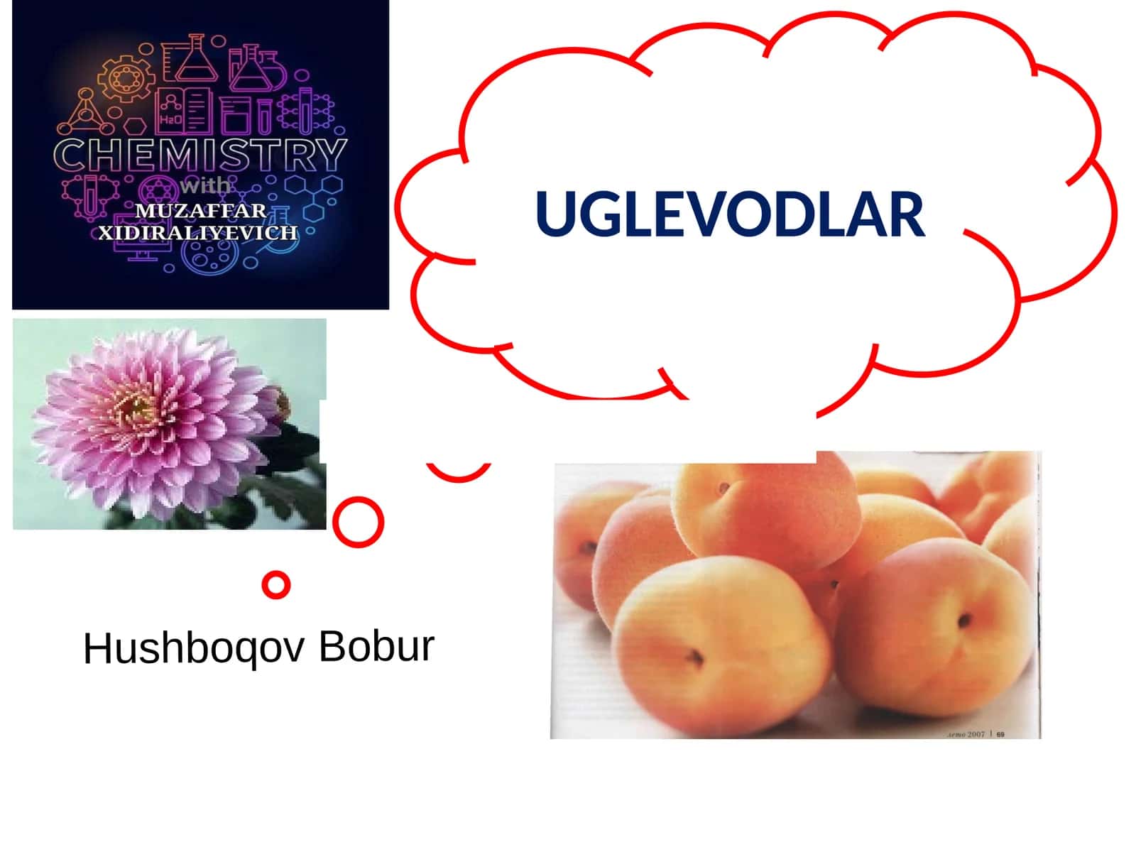 Uglevodlar haqida 1