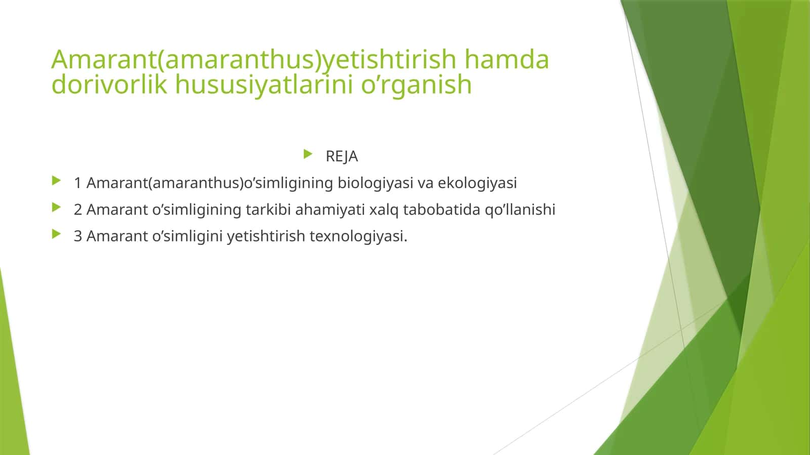 Amarant(amaranthus)yetishtirish hamda dorivorlik hususiyatlarini o’rganish 1