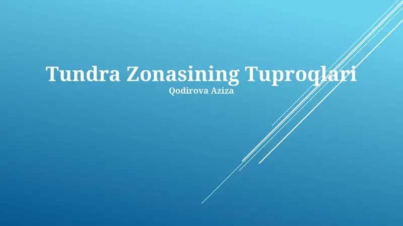 Tundra Zonasining Tuproqlari 1