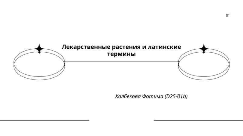 Лекарственные растения и латинские термины 1
