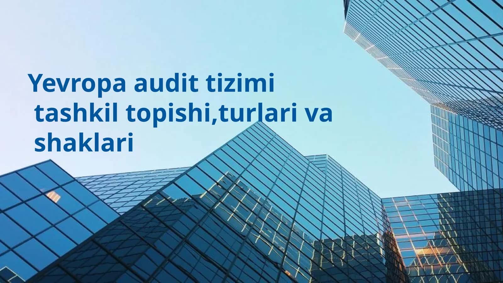 Yevropa audit tizimi tashkil topishi ,turlari va shaklari 1