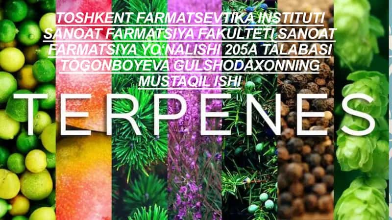 Terpen birikmalari 1