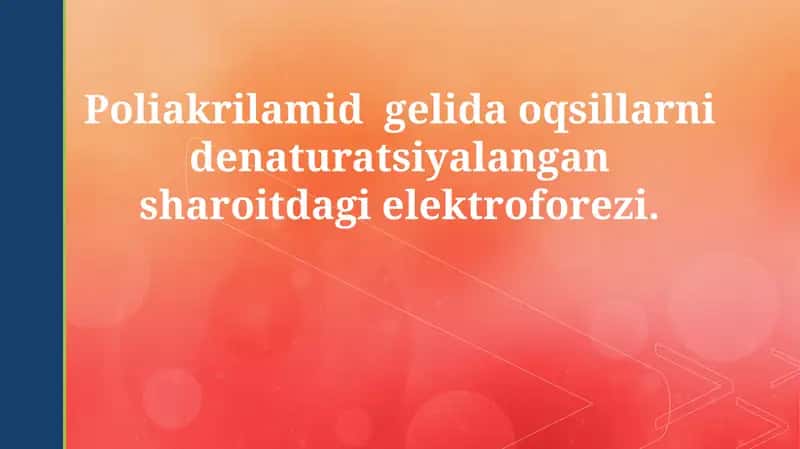 Poliakrilamidli gel elektroforezi 1