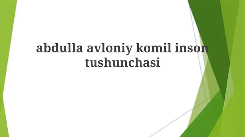 Avloiyning "Komil Inson" tushunchasi 1