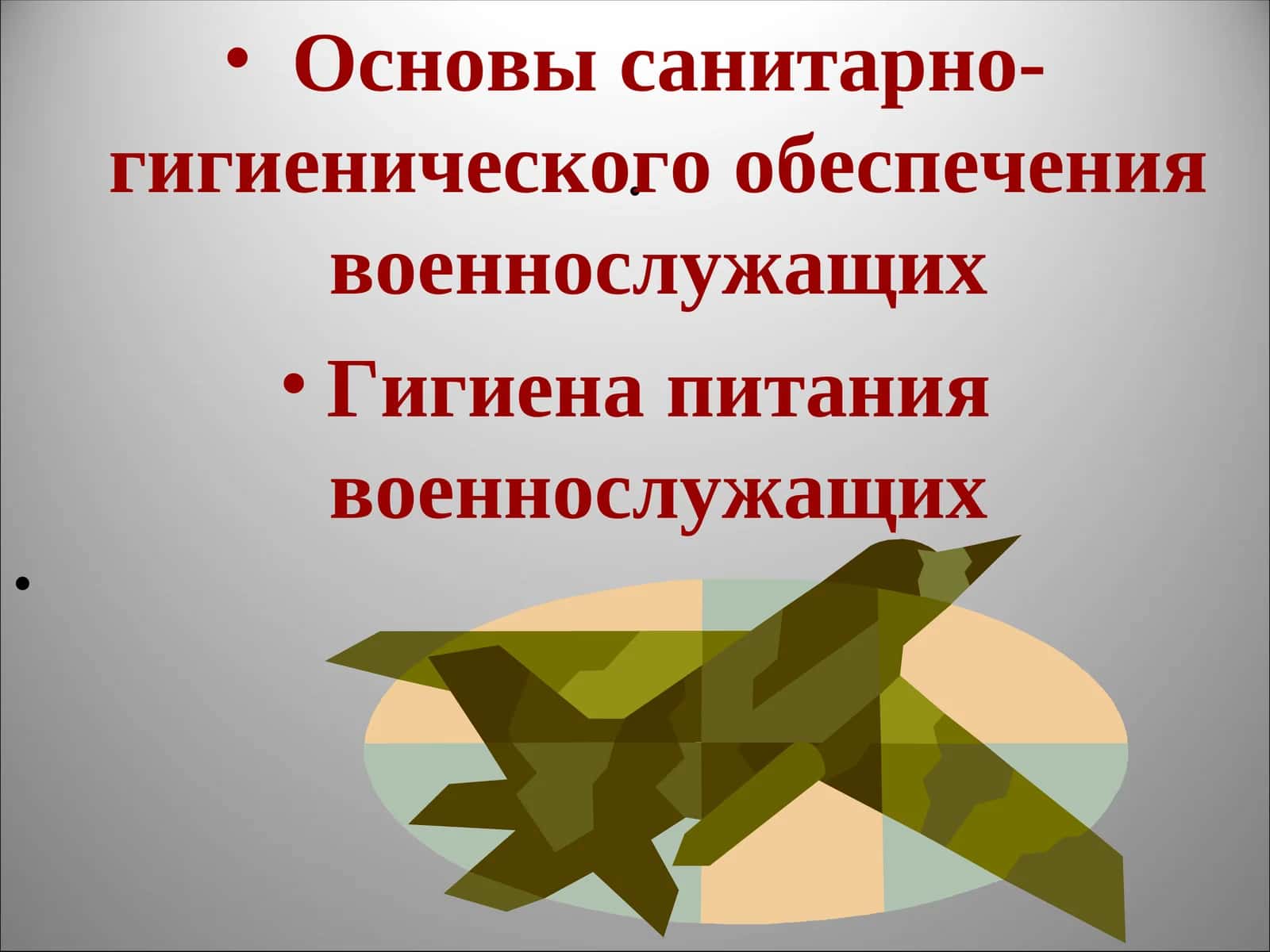 Основы санитарно-гигиенического обеспечения военнослужащих 1