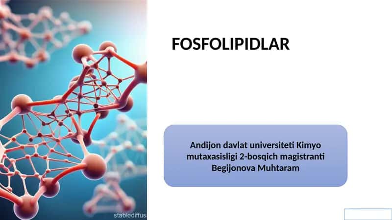 Fosfolipidlar 1