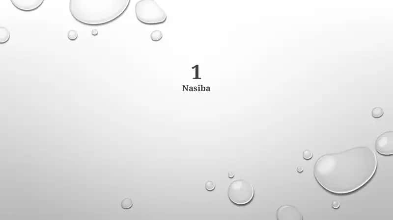 Nasiba 1