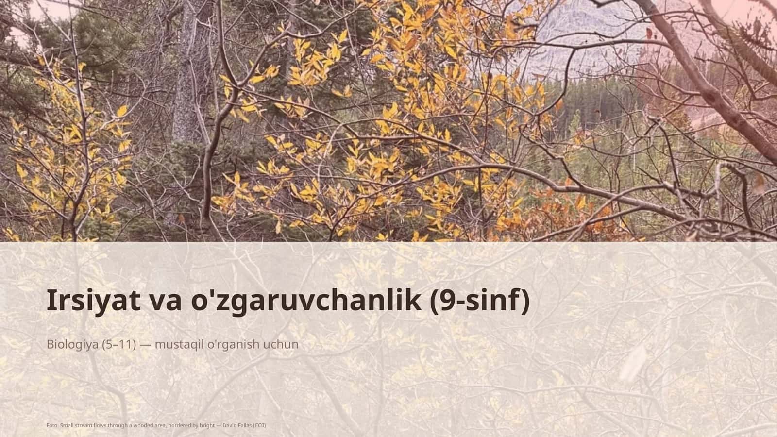 Irsiyat va o'zgaruvchanlik (9-sinf) Biologiya (5-11) 1