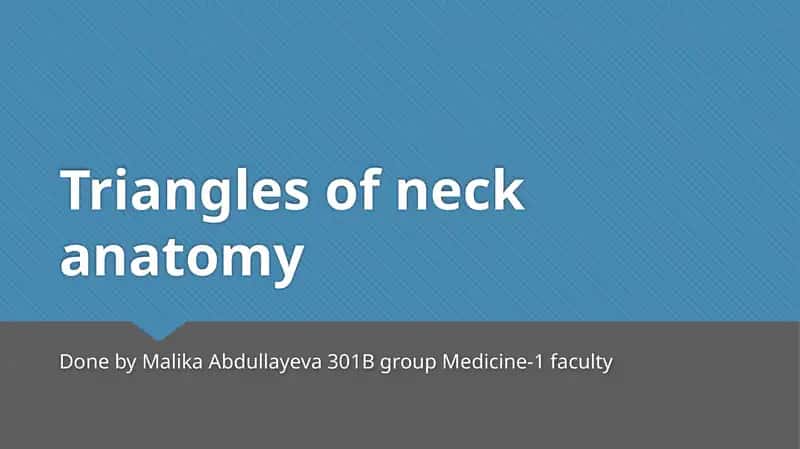 Triangles of neck anatomy 1