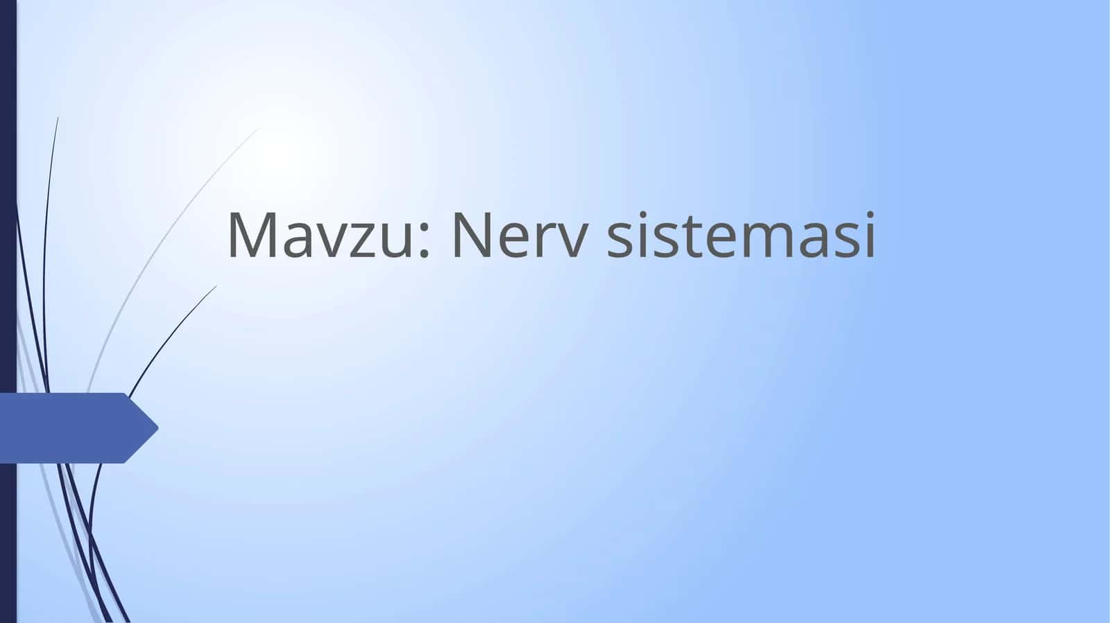 Nervsistemasi 1