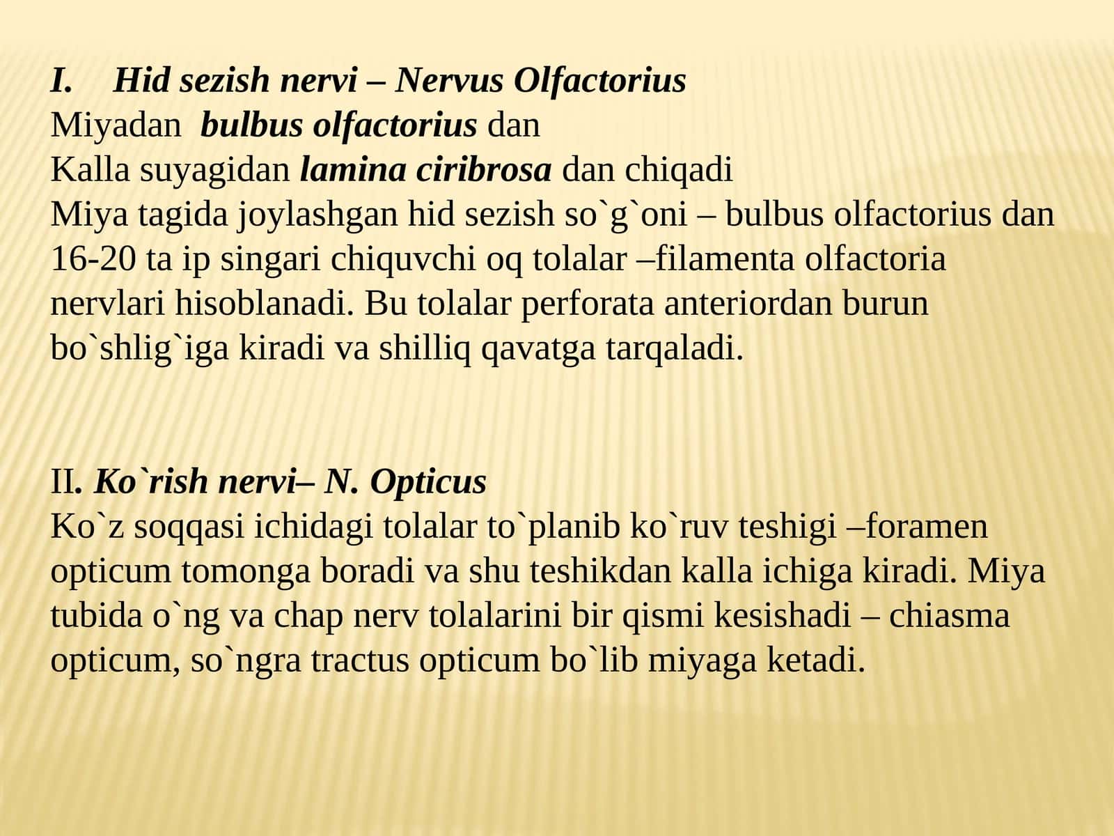 Nervus Olfactorius 1