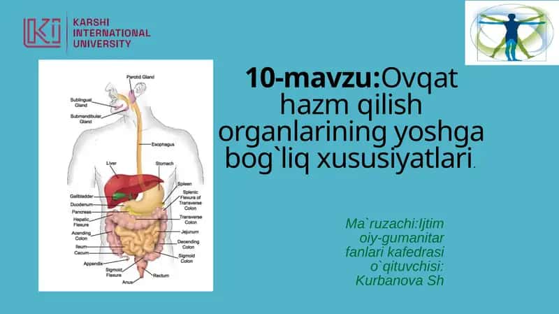 Ovqathazmqilish organlarining yoshgabog`liq xususiyatlari 1
