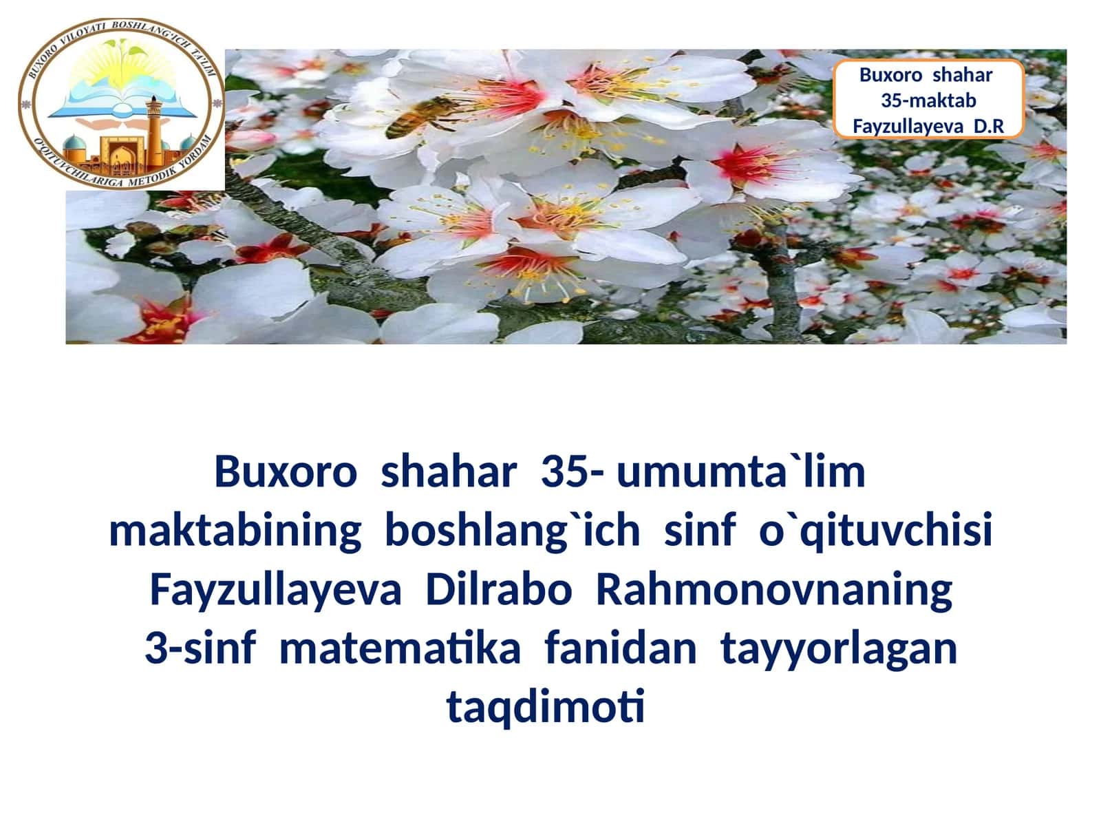 Fayzullayeva Dilrabo Rahmonovna 35-maktab boshlang'ich sinfoqituvchisi 1