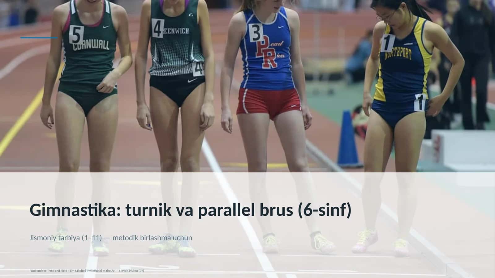 Gimnastika: turnik va parallel brus (6-sinf) 1