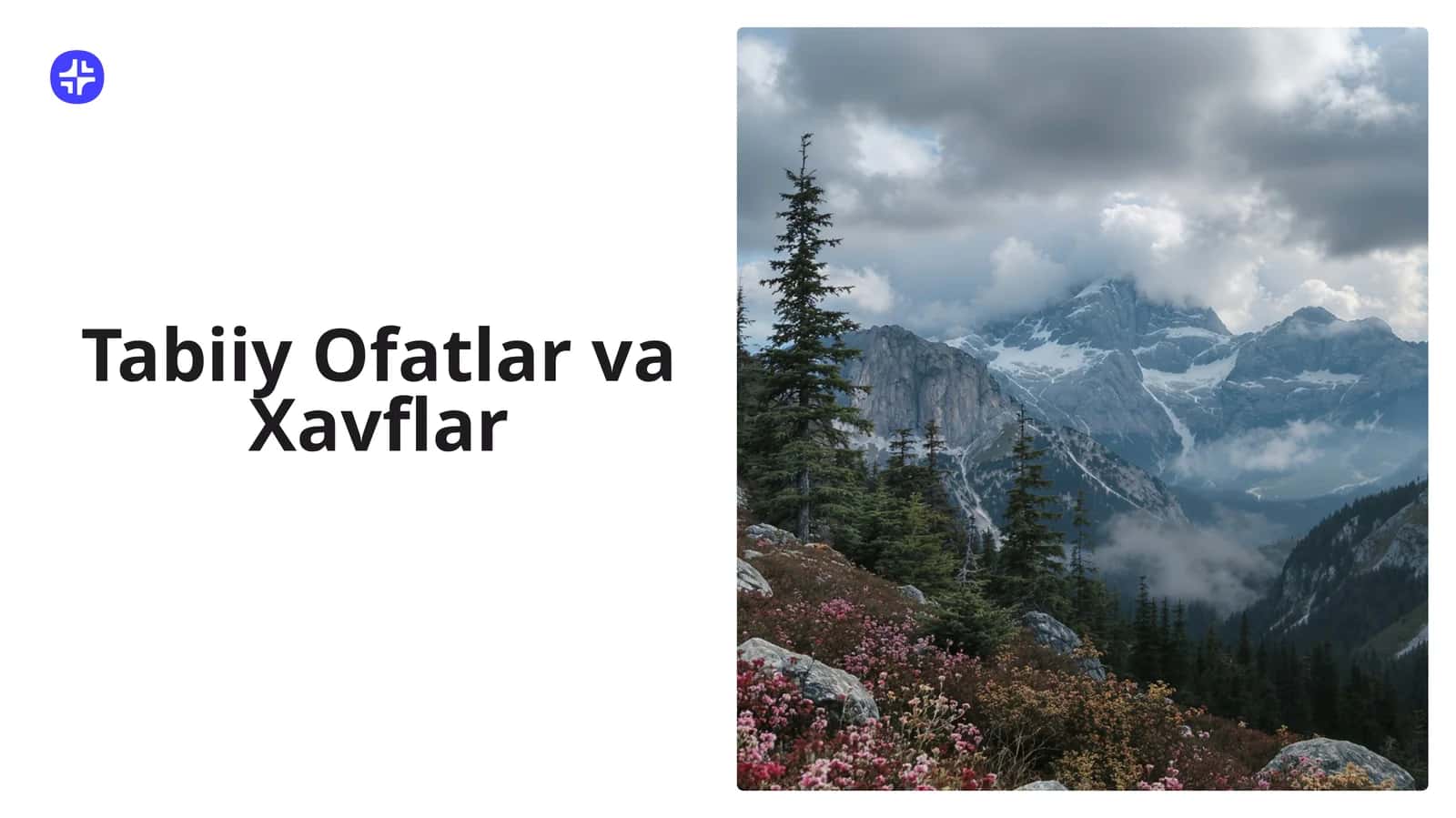 Tabiiy Ofatlar va Xavflar 1
