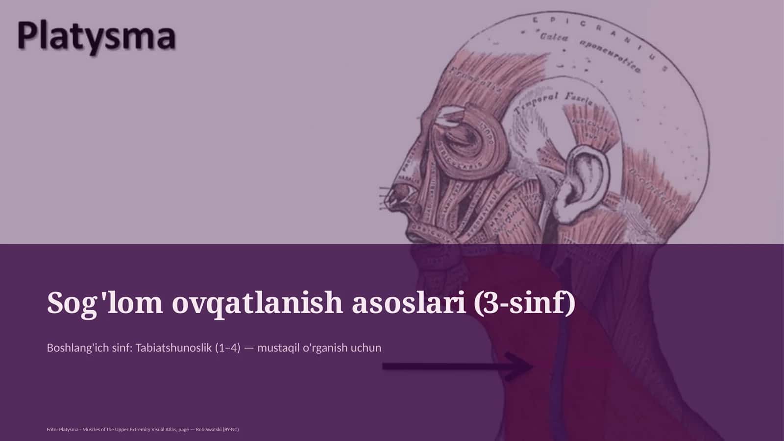 Sog'lom ovqatlanish asoslari (3-sinf) 1