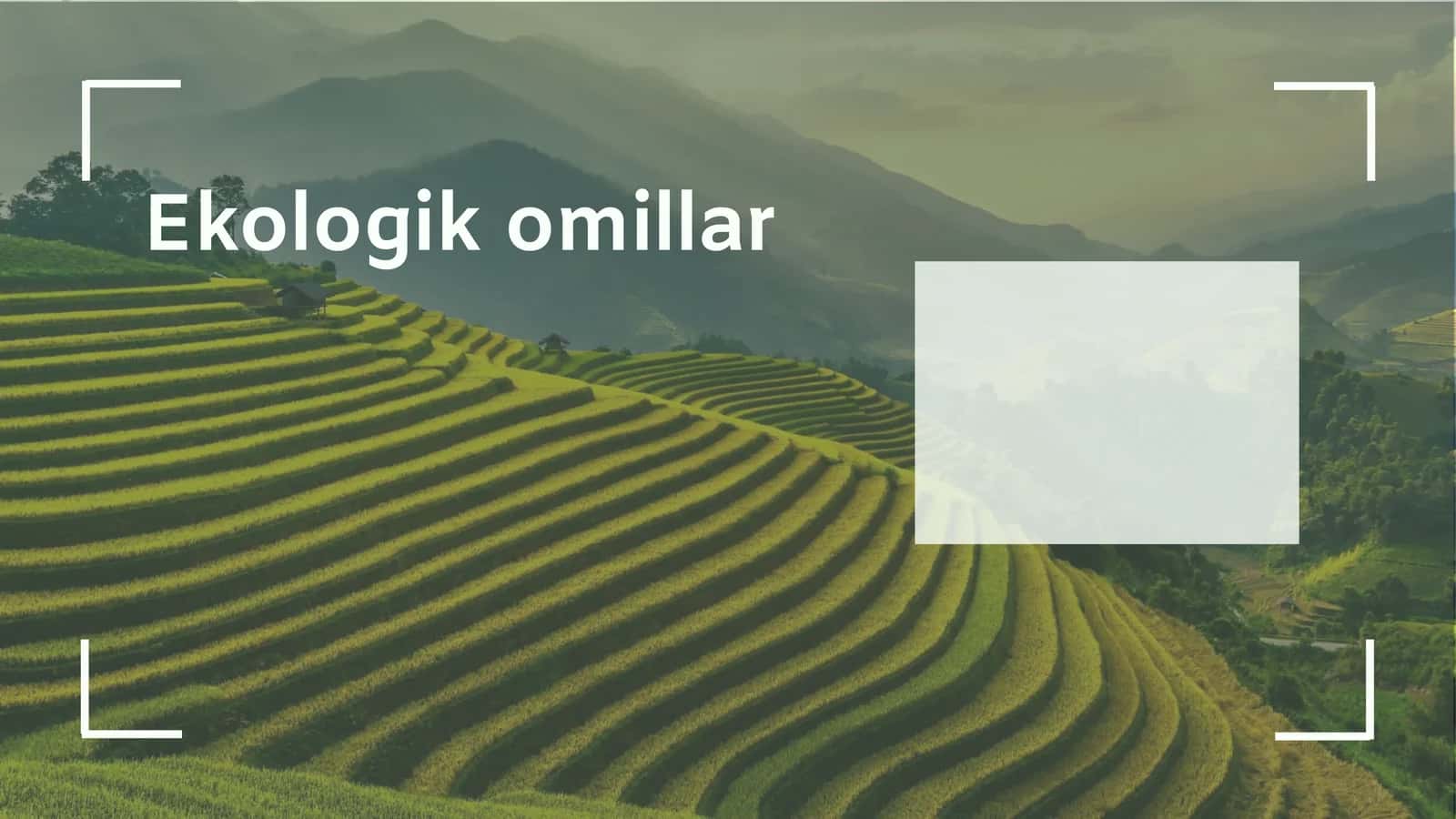 Ekologik omillar 1