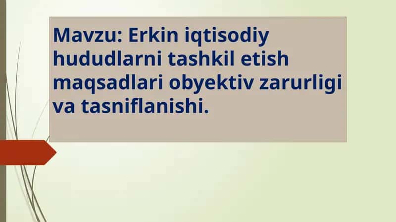 Erkiniqtisodiy hududlarni tashkilotish 1