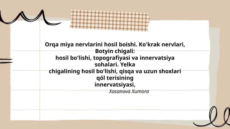 Orqa miya nervlarini hosil boishi. Ko'krak nervlari, Botyin chigali 1