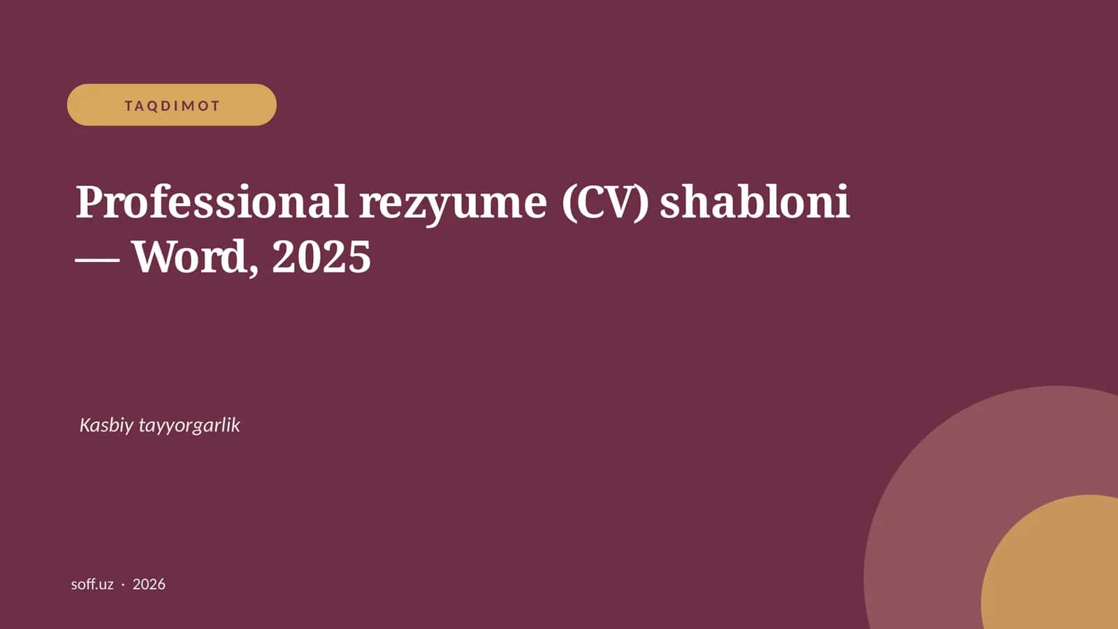 Professional rezyume (CV) shabloni — Word, 2025 1