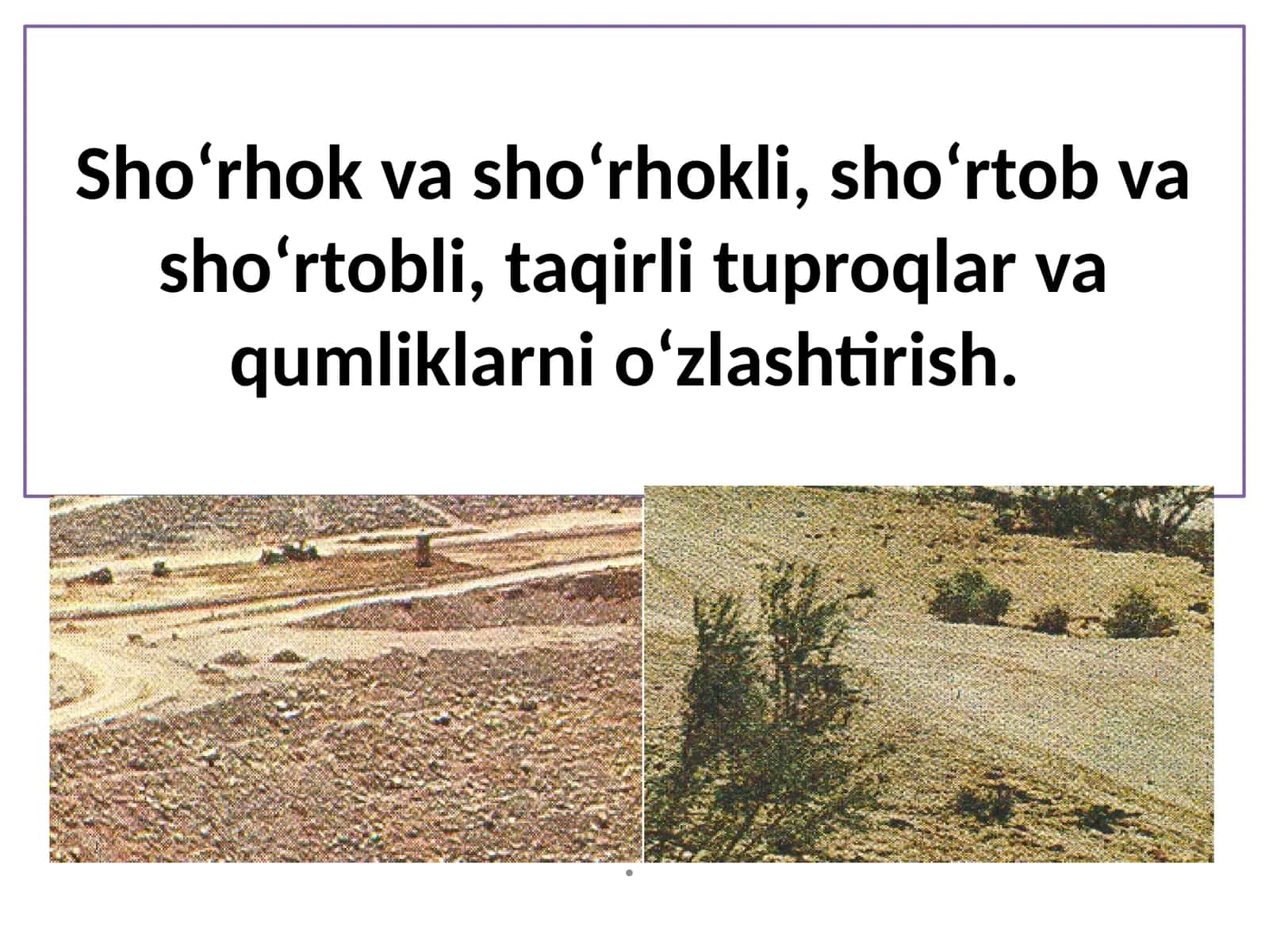 Sho‘rhsimon tuproqlarni o‘zlashtirish 1