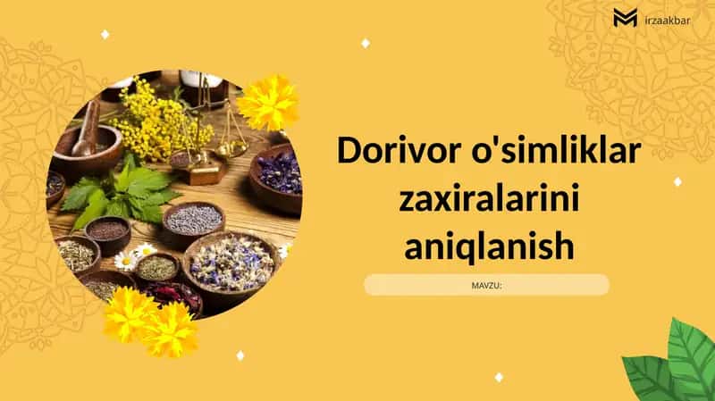 Dorivor o'simliklar zaxiralarini aniqlanish 1