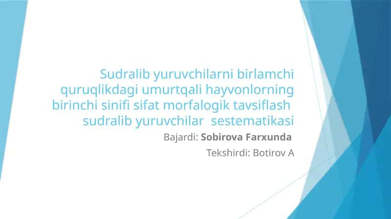 Sudralibyuruvchilar 1