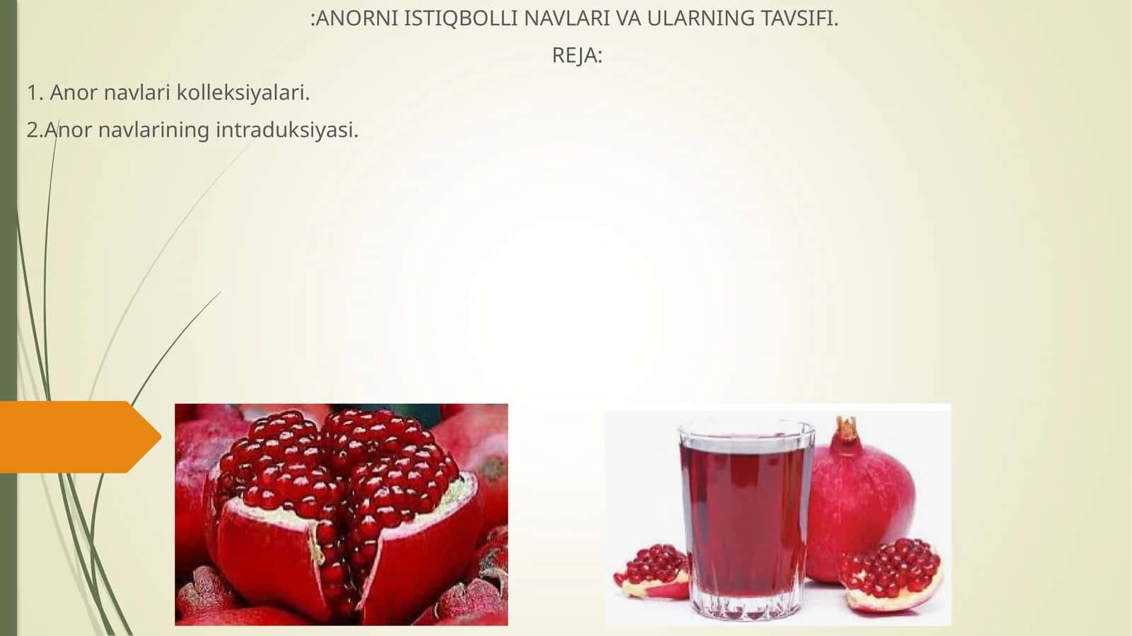 Anor navlari 1