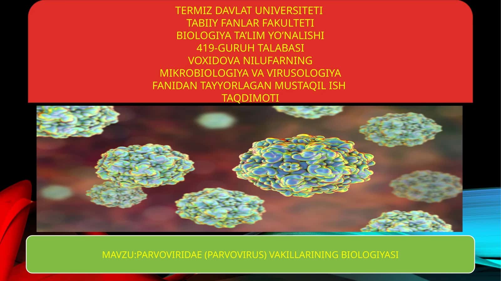 PARVOVIRIDAE (PARVOVIRUS) VAKILLARINING BIOLOGIYASI 1