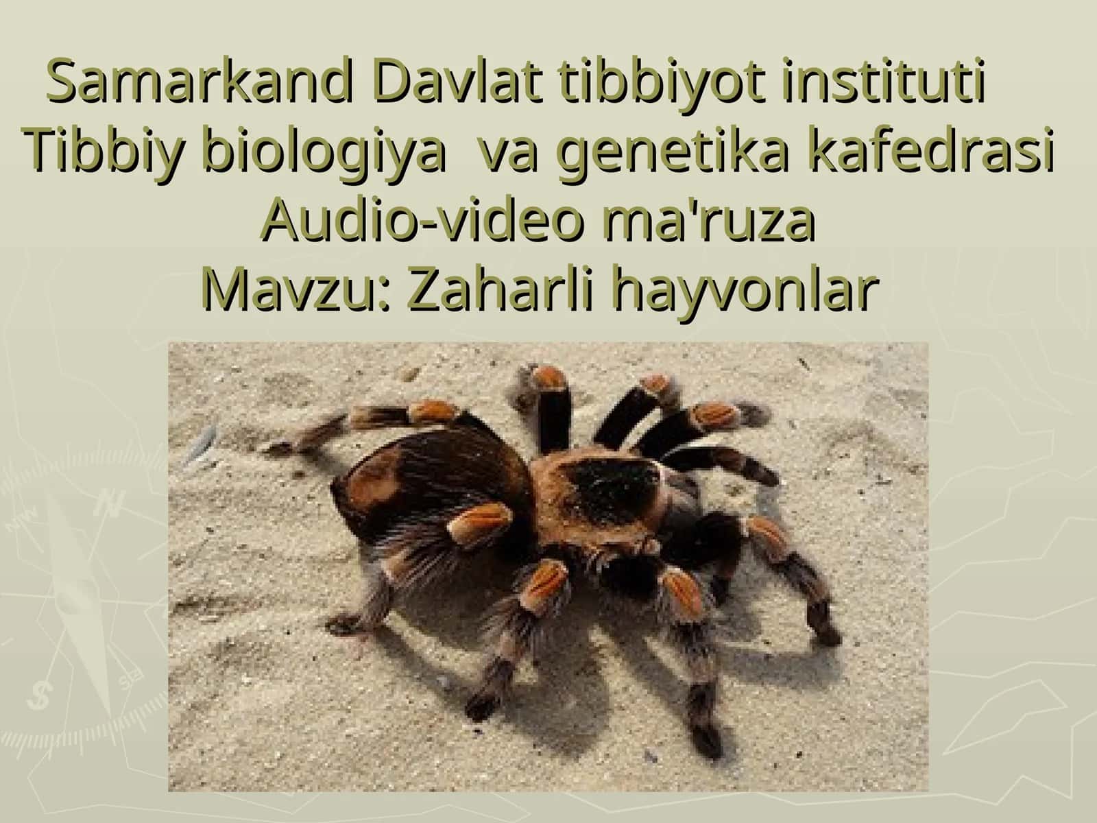 Zaharli hayvonlar 1