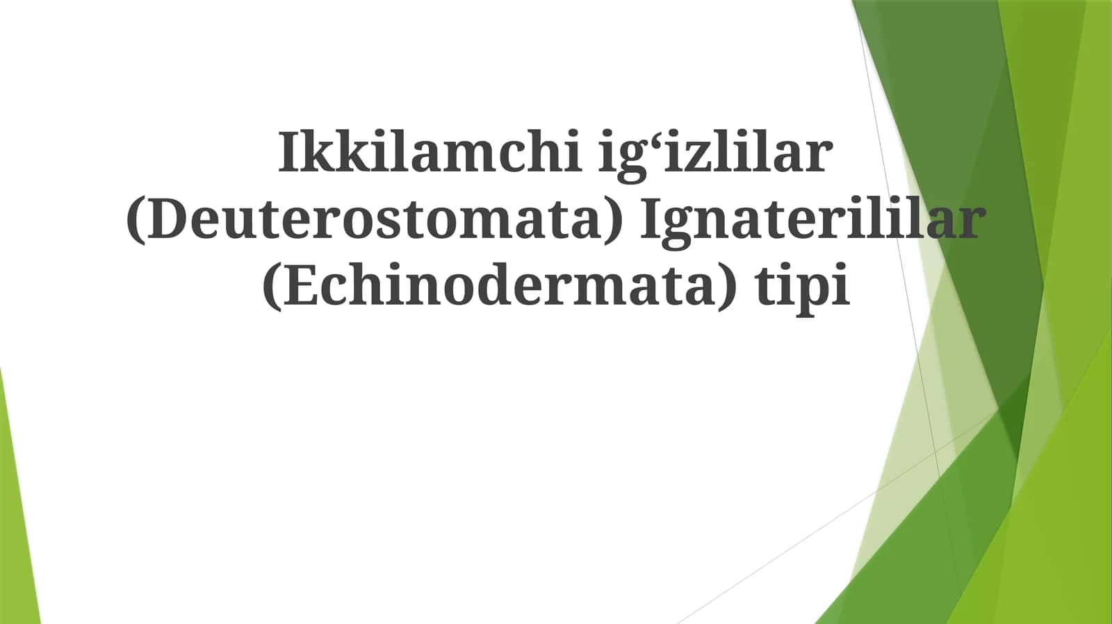Qum dollarlari (Clypeasteroida tartibi) 1