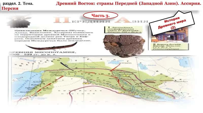 История Древнего мира 1