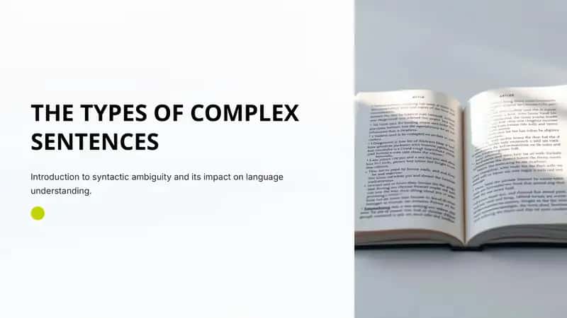 THE TYPES OF COMPLEX SENTENCES 1
