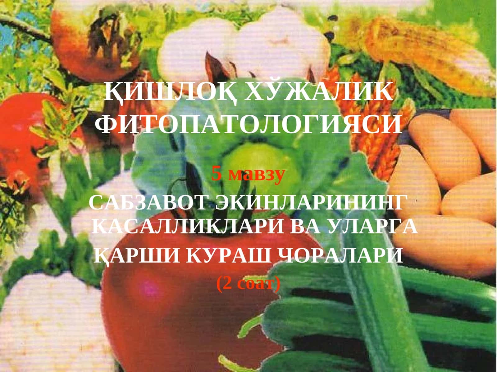 ҚИШЛОҚ ХЎЖАЛИК ФИТОПАТОЛОГИЯСИ 1