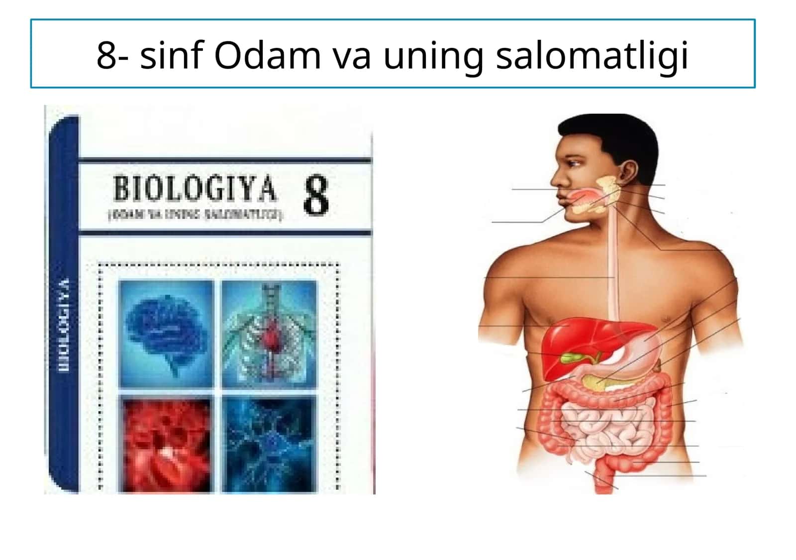 Odam va uning salomatligi 1