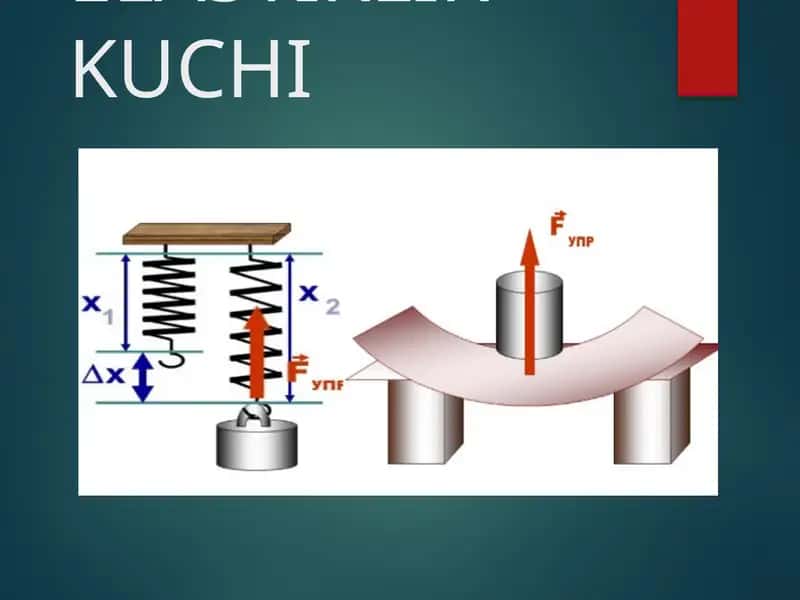 Elastiklik kuchi prezentatsiya 1